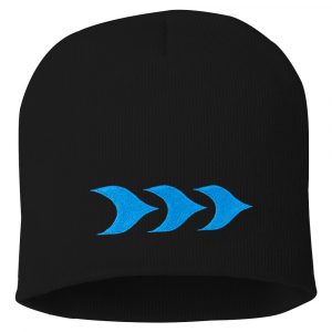 SP08 BEANIE RIPT