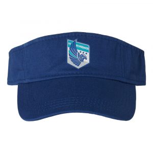 FCP VISOR